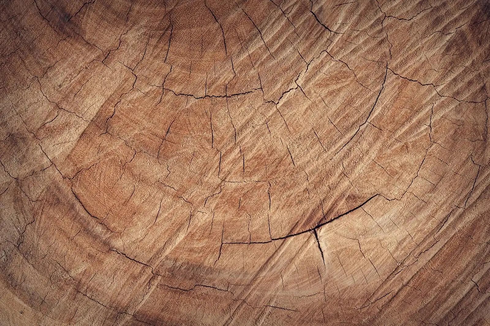 montre une cuisine spacieuse et lumineuse. L'esthétique générale est épurée, élégante et moderne. Il y a un îlot de cuisine avec quatre chaises en bois. La cuisine est éclairée par des suspensions et dispose d'une grande fenêtre avec des stores blancs.
